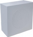 wall mounted audio speaker